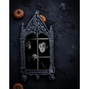 Nosferatu Magnet 1922 A Symphony of Horror Max Schreck Count Orlok Vampire